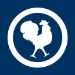 logo ffgolf